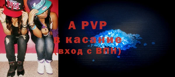 гашик Пересвет