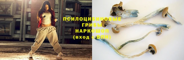 гашик Пересвет