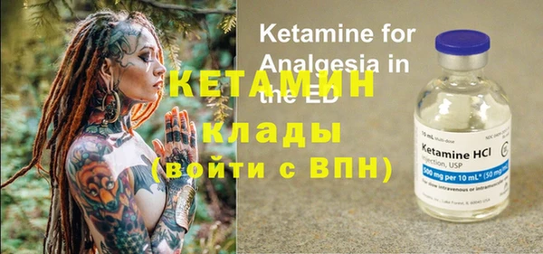 гашик Пересвет
