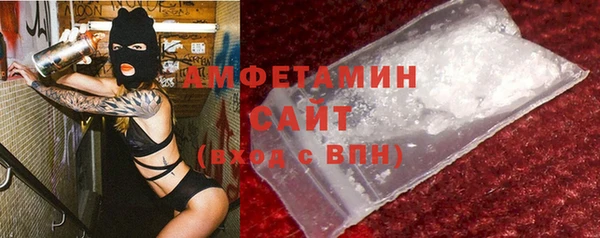 гашик Пересвет
