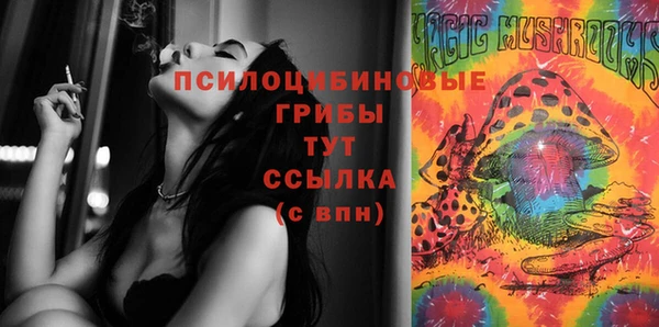 гашик Пересвет