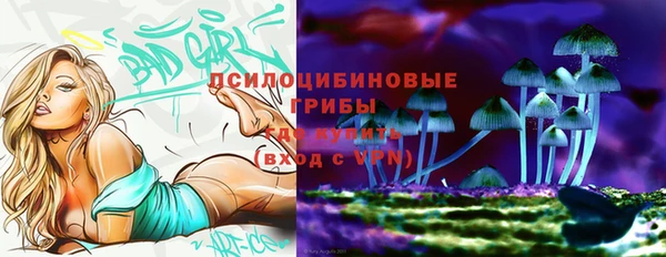 COCAINE Переславль-Залесский