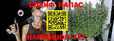 спиды Можайск