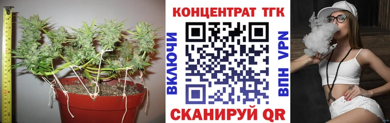 Дистиллят ТГК гашишное масло где можно купить Тутаев