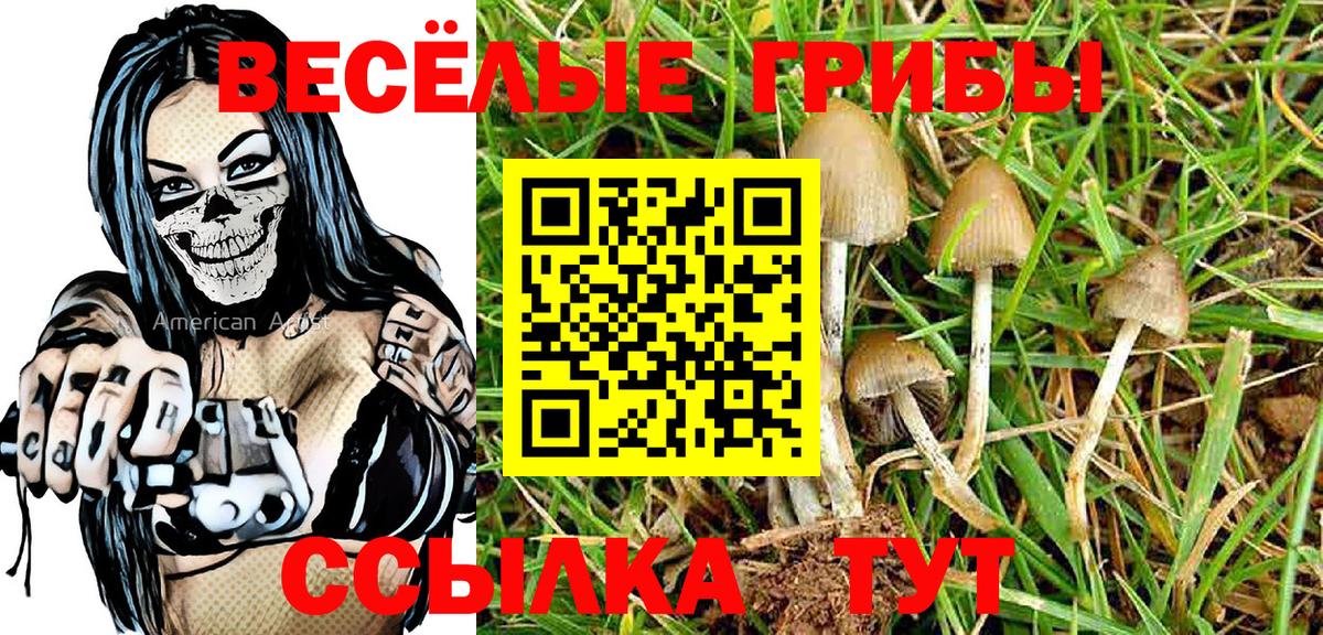 Тутаев  Псилоцибиновые грибы Psilocybe  Вход с VPN 